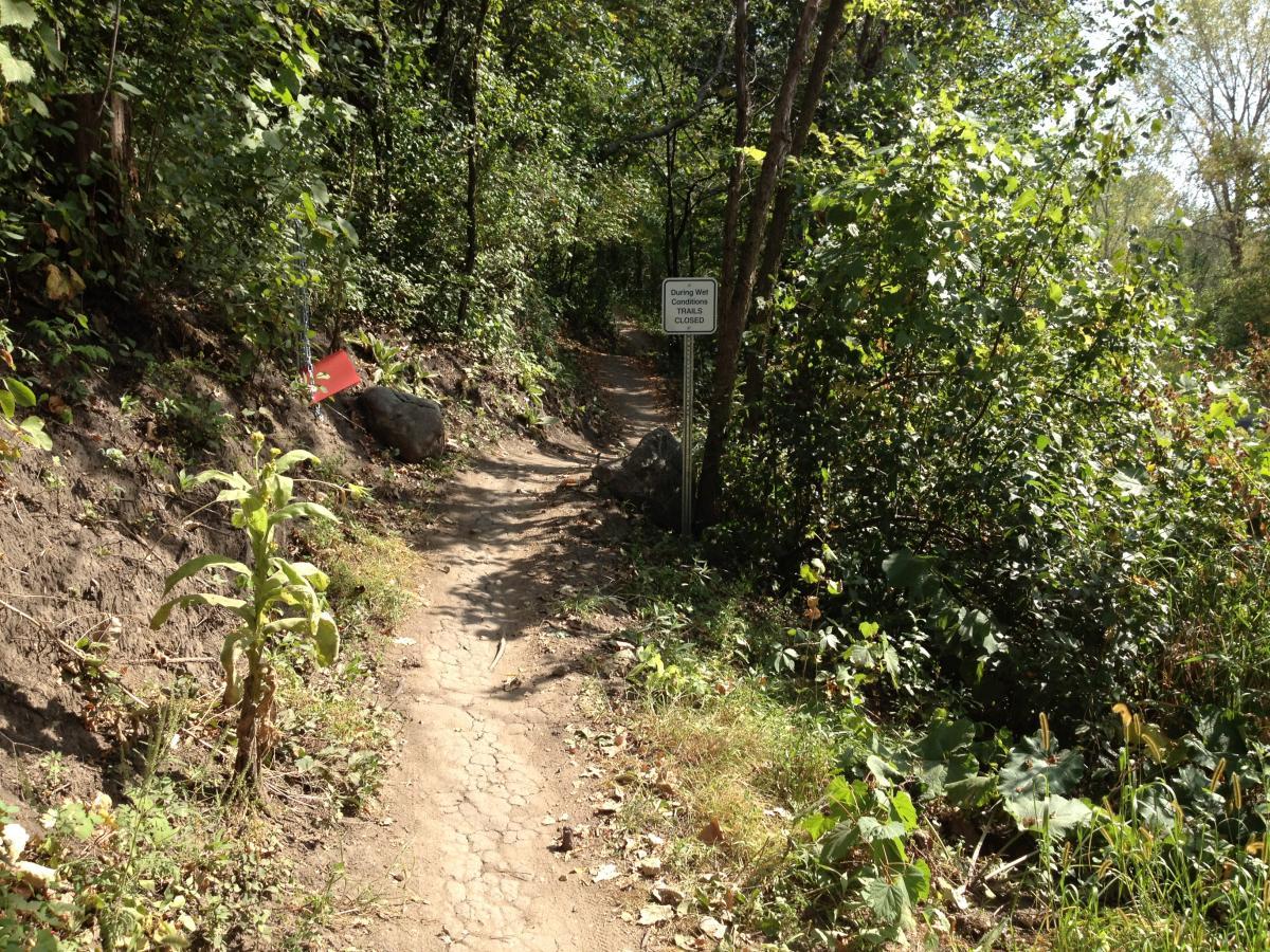 A narrow dirt path winding through a lush, green forest, with abundant plants and trees on either side. A rock is visible on the left side of the trail, and a sign indicating "During Wet Conditions, Trails Closed" is positioned along the path. Sunlight filters through the leaves, creating dappled shadows on the ground. Elm Creek Park mountain bike trail.