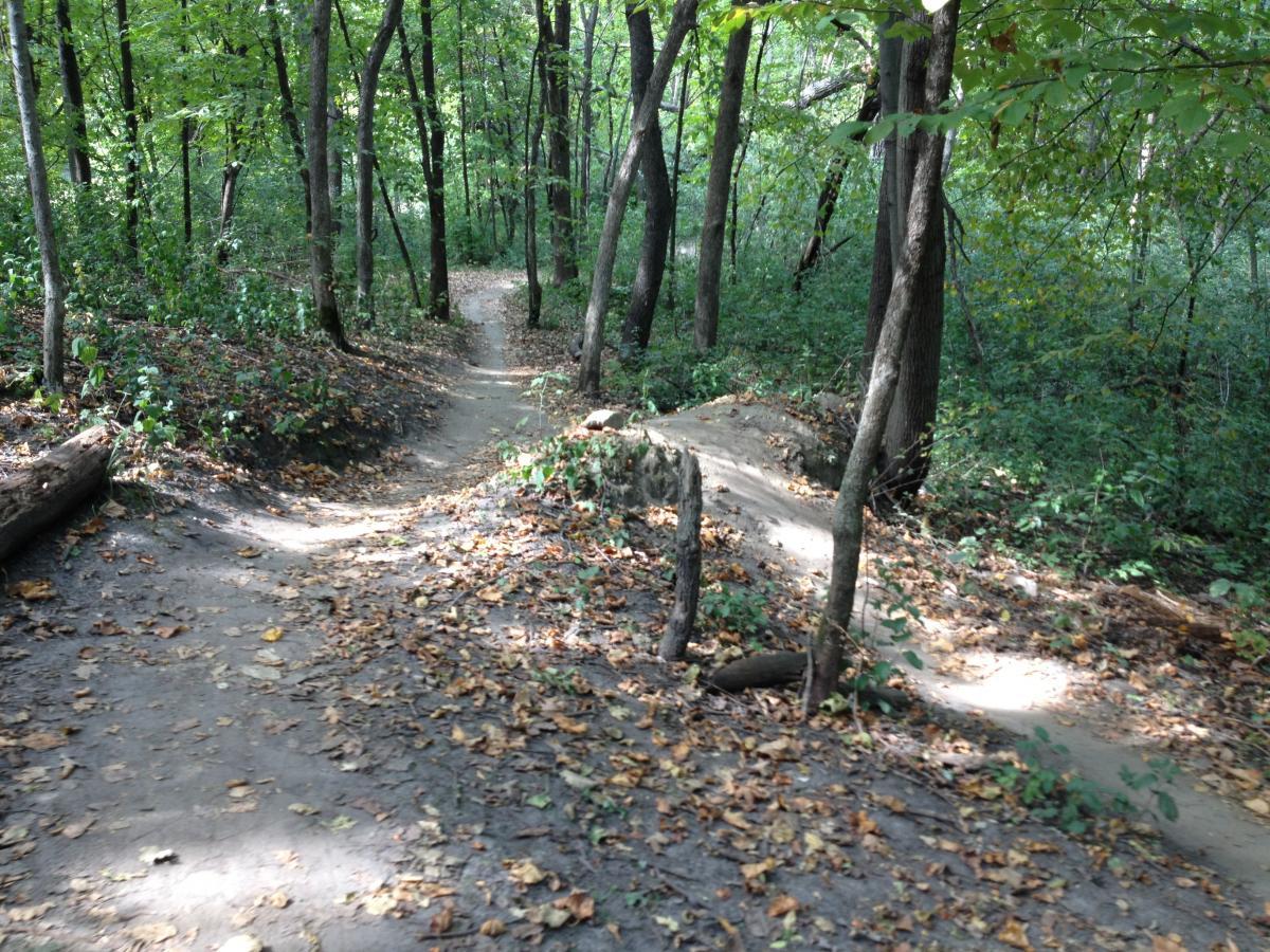 A winding dirt path through a lush forest, surrounded by tall trees and scattered autumn leaves. The trail curves gently, leading deeper into the greenery, with patches of sunlight filtering through the leaves above. Elm Creek Park mountain bike trail.