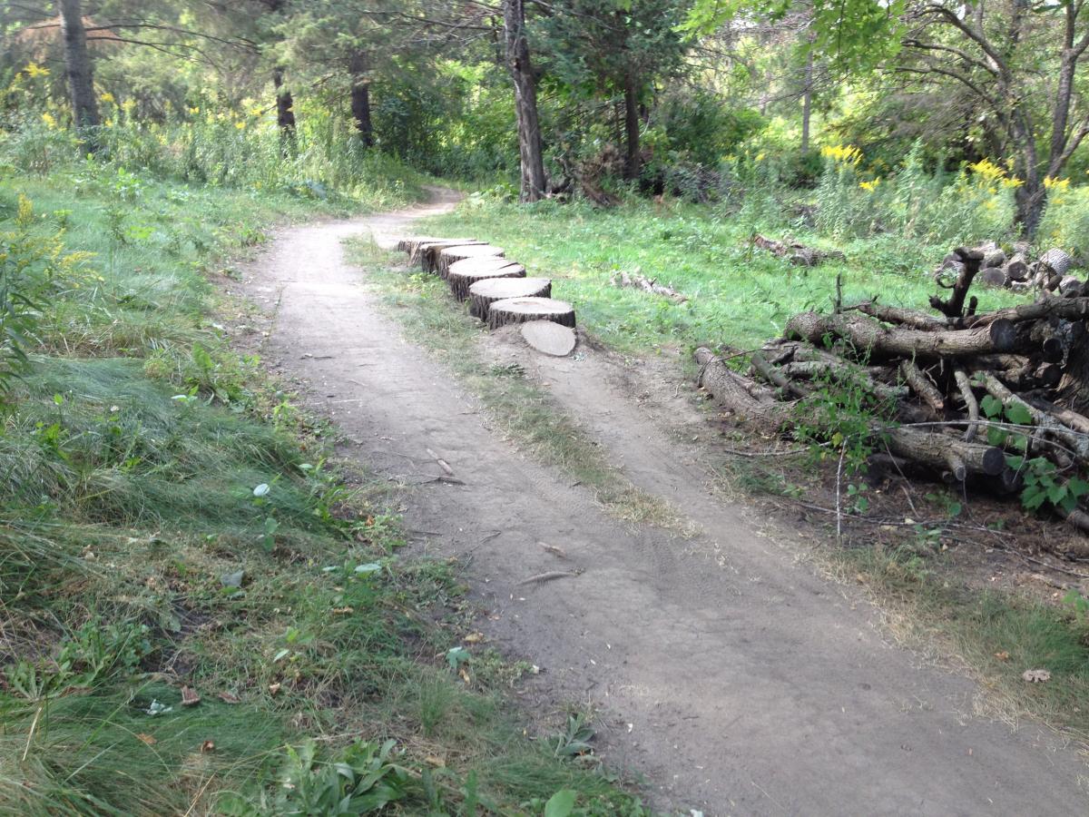A winding dirt path through a forested area, lined with stumps and grass. On one side, there is a stack of cut logs, while wildflowers and greenery surround the trail, creating a natural, serene environment. Elm Creek Park mountain bike trail.