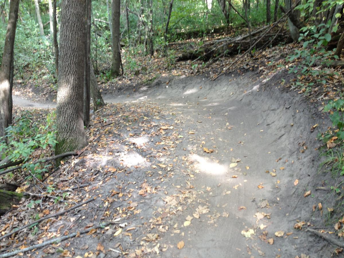 A winding dirt trail surrounded by trees, with fallen leaves scattered across the path. The trail curves gently out of view, leading into a wooded area with greenery. Sunlight filters through the foliage, creating a peaceful, natural atmosphere. Elm Creek Park mountain bike trail.