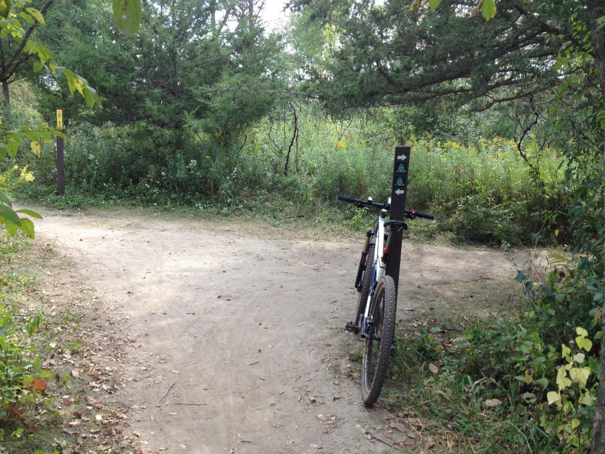 A mountain bike rests against a trail sign at a fork in a dirt path surrounded by greenery. The path divides, with one direction leading into a dense area of vegetation and the other continuing along a clearer route. The scene captures the tranquility of a natural setting, inviting outdoor exploration. Elm Creek Park mountain bike trail.