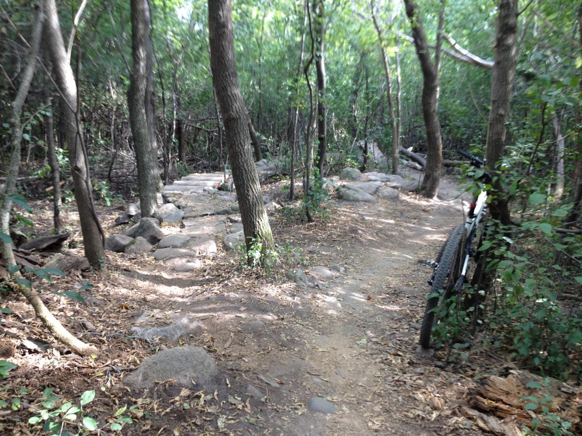 A dirt path winds through a wooded area, flanked by trees and scattered rocks. A mountain bike is leaning against a tree on the right side of the path, surrounded by fallen leaves and greenery. The scene is dappled with sunlight filtering through the leaves overhead. Elm Creek Park mountain bike trail.