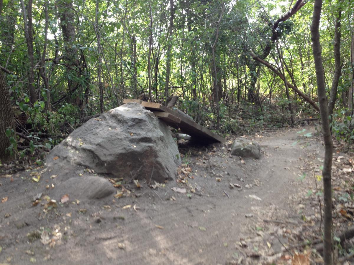 A rocky outcrop with a wooden ramp built on top, situated along a dirt path surrounded by trees and greenery. The ground is covered with fallen leaves, and the area exhibits a natural, wooded environment. Elm Creek Park mountain bike trail.