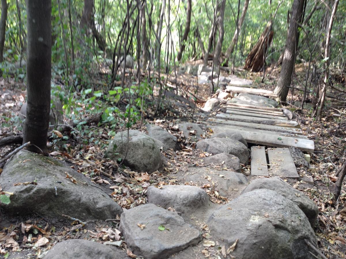 A narrow wooden boardwalk leads through a forested area with scattered rocks and patches of dried leaves. Tall trees and dense foliage frame the pathway, creating a natural and tranquil setting. Elm Creek Park mountain bike trail.
