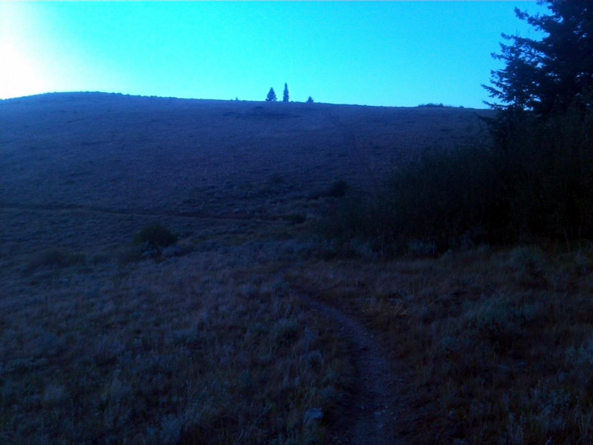 A winding dirt trail leading up a grassy hillside at dusk, with dark silhouettes of trees on the horizon against a blue-tinted sky. The landscape appears serene and untouched, suggesting a natural outdoor setting. Southbound mountain bike trail.