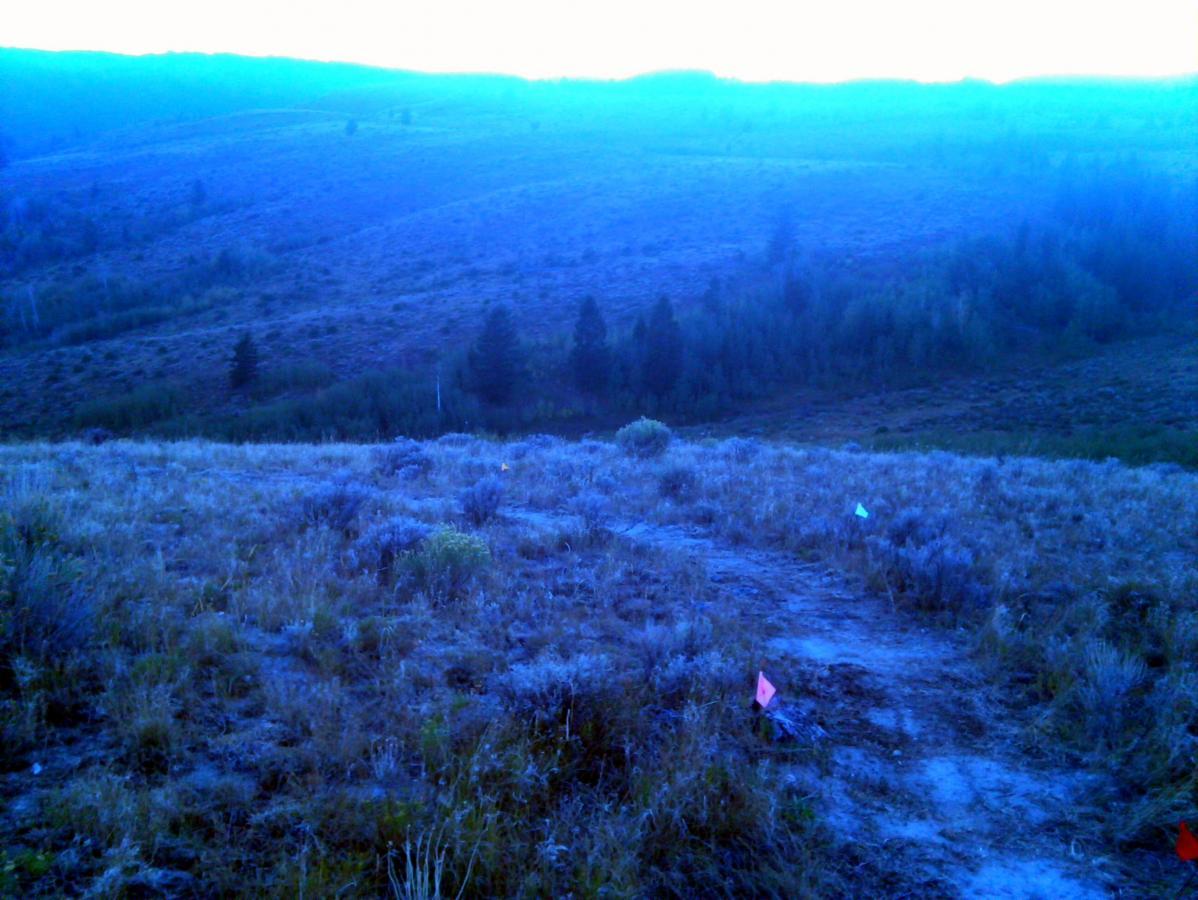 A panoramic view of a tranquil hillside at dusk, featuring rolling blue-tinted hills covered with sparse vegetation. In the foreground, a grassy area is scattered with small shrubs and colorful flags, indicating a trail. In the distance, dark green trees line the valley, while the sky transitions from light to dark, enhancing the serene atmosphere of the landscape. Southbound mountain bike trail.