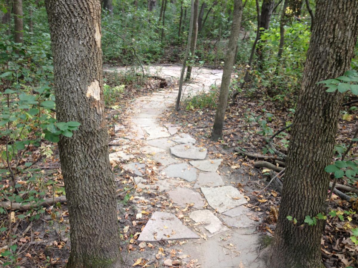 A rocky path winding through a wooded area, flanked by trees. The ground is covered with leaves and the surrounding foliage is lush, indicating a natural setting. Elm Creek Park mountain bike trail.