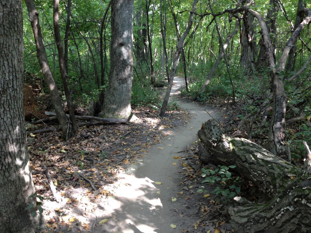 A narrow dirt pathway winding through a dense forest, lined with tall trees and patches of greenery. The ground is scattered with leaves and small branches, with sunlight filtering through the foliage above, creating a serene and inviting atmosphere. Elm Creek Park mountain bike trail.