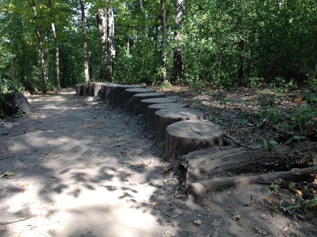 A rustic pathway in a forest, featuring a series of wooden stumps arranged as seating along the side. Sunlight filters through the trees, casting shadows on the dirt and leaf-strewn ground. Green foliage surrounds the area, contributing to a tranquil, natural setting. Elm Creek Park mountain bike trail.