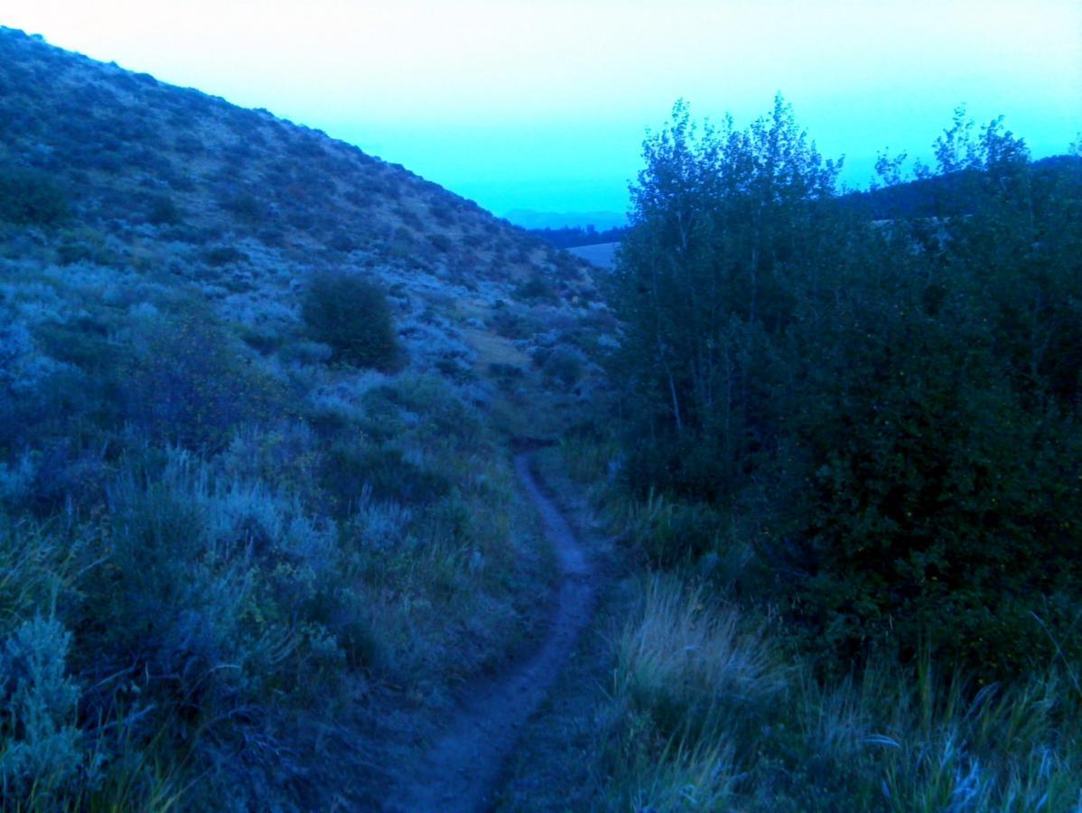 A winding dirt path leads through a rugged landscape characterized by rolling hills and scattered green shrubs, bathed in a soft blue twilight. The scene conveys a sense of tranquility and natural beauty. Southbound mountain bike trail.