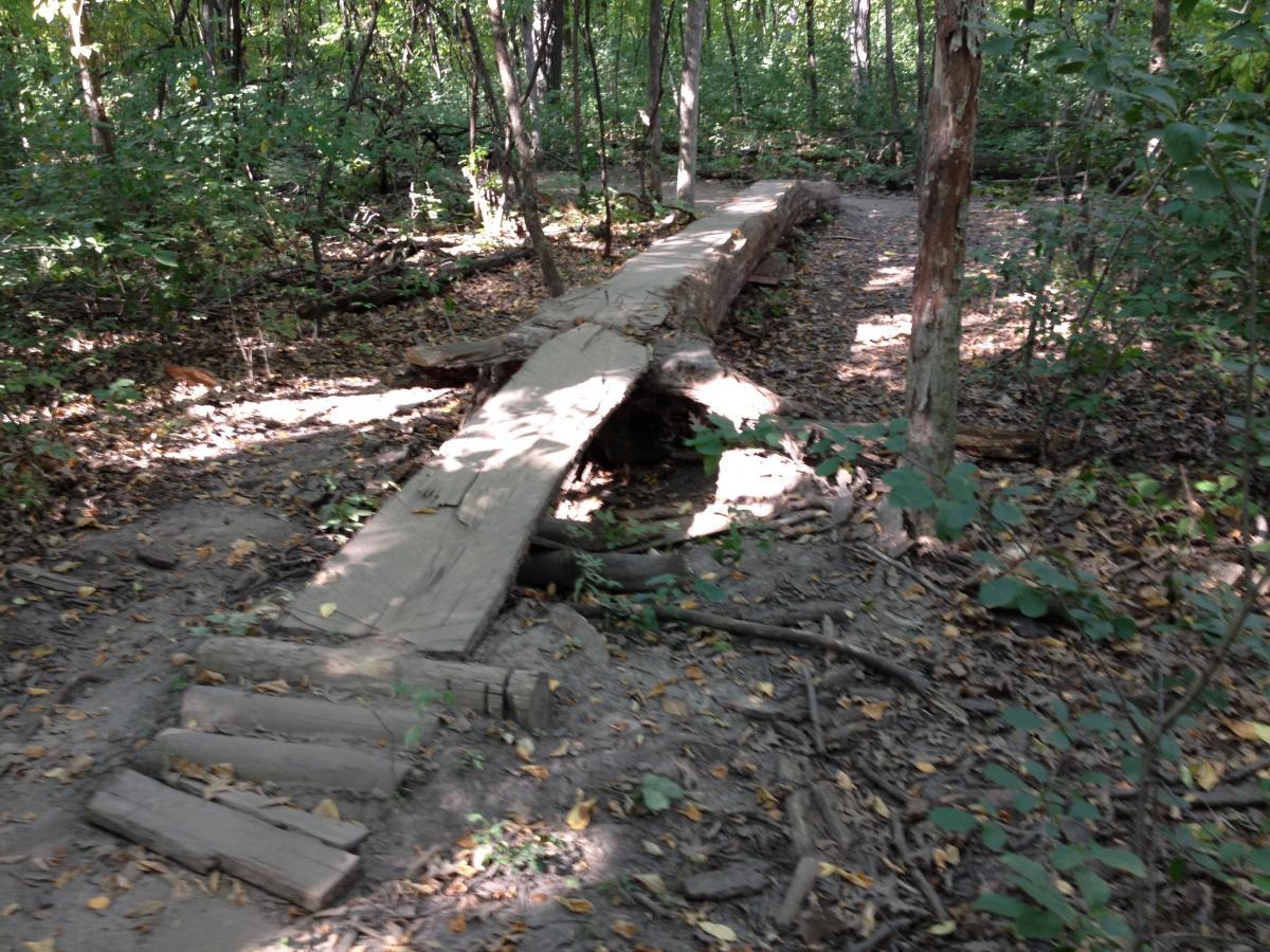A rustic wooden bridge made from logs, crossing over a small creek in a wooded area. Sunlight filters through the trees, illuminating the path covered in fallen leaves and surrounded by greenery. Elm Creek Park mountain bike trail.