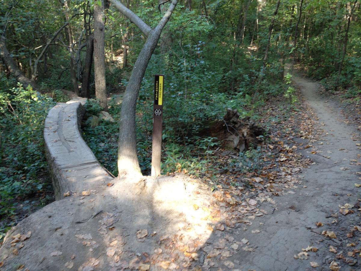 Wooden pathway curving through a forested area, with a sign indicating trail information. The path is surrounded by trees and greenery, with fallen leaves scattered on the ground. A secondary trail is visible in the background. Elm Creek Park mountain bike trail.
