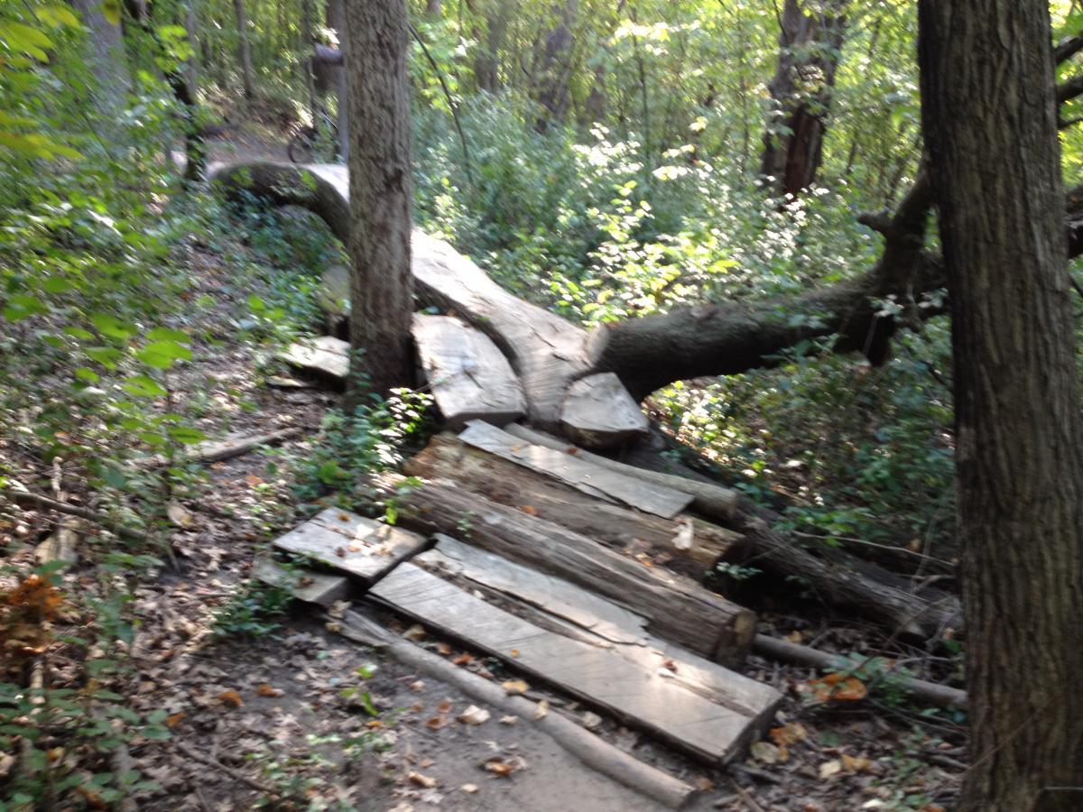 A wooden path made from planks and logs, extending across a forested area with dense greenery and sunlight filtering through the trees. The path is slightly curved and surrounded by various plants and fallen leaves. Elm Creek Park mountain bike trail.