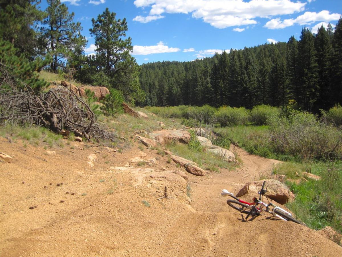 A mountain bike resting on its side on a dirt trail surrounded by tall trees and greenery, under a bright blue sky with scattered clouds. Mule Creek mountain bike trail.
