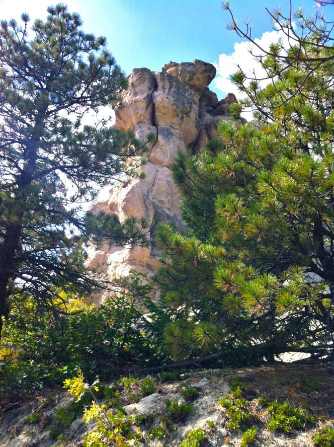 A tall rock formation partially obscured by green pine trees and shrubs, under a clear blue sky with a few clouds. Spruce Mountain Trail Upper Loop mountain bike trail.