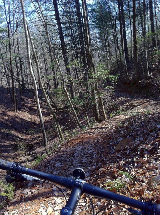 A mountain bike is positioned in the foreground, resting on a leaf-covered trail that winds through a wooded area. Tall trees with bare branches and some green foliage stretch upward, while the trail descends into the distance. Sunlight filters through the trees, creating a peaceful atmosphere in this natural setting. Bull / Jake Mountain mountain bike trail.