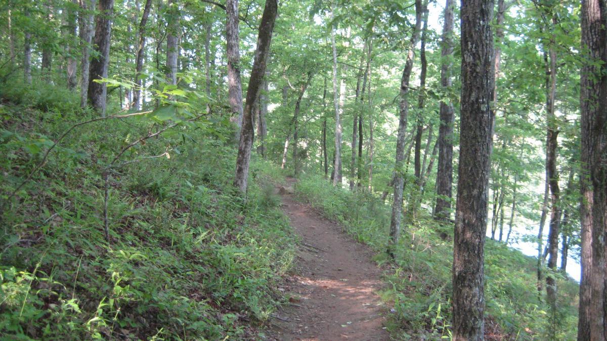 A dirt path winding through a lush green forest with tall trees and undergrowth, leading toward a river or lake visible in the background. Natural light filters through the leaves, creating a serene and inviting atmosphere. Issaqueena Lake mountain bike trail.