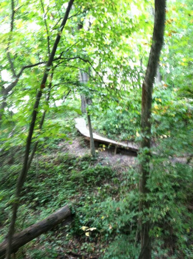 A winding wooden path among lush green trees and undergrowth, leading through a forested area. Beverly Park mountain bike trail.