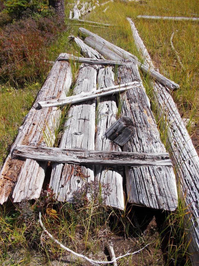 Weathered wooden planks are arranged in an irregular pattern on the ground, surrounded by tall grass and small shrubs. The wood shows signs of age and decay, with a mix of gray and brown tones. Some planks are overlapping or partially misaligned, and remnants of white rope can be seen nearby. The scene conveys a natural, rustic ambiance. Gold Lake To Bobby Lake mountain bike trail.