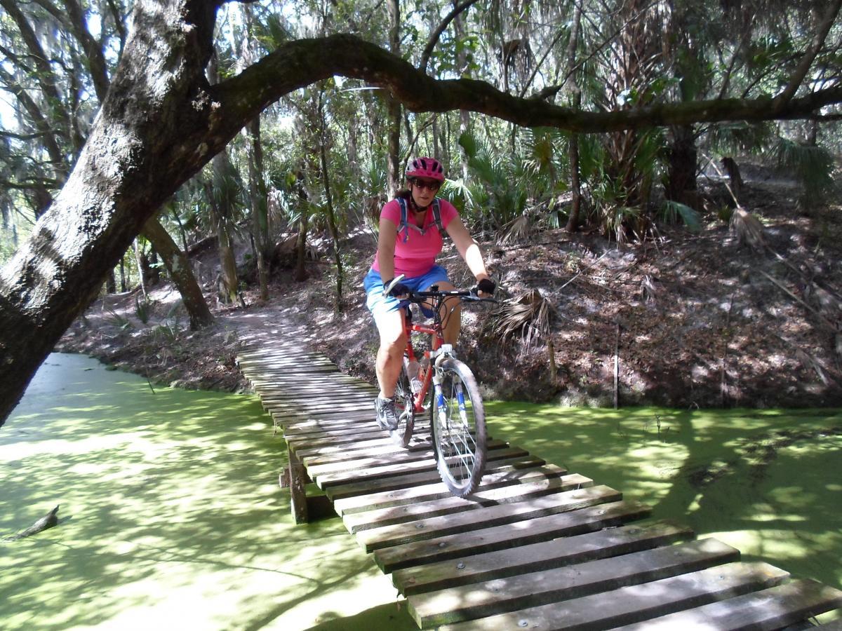 A person riding a bicycle across a wooden bridge over a green, algae-filled waterway, surrounded by dense trees and vegetation in a natural setting. The cyclist is wearing a pink top and a helmet. Alafia River State Park mountain bike trail.