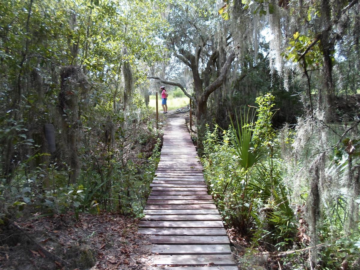 A wooden boardwalk surrounded by lush greenery runs through a tranquil natural setting. A person stands at the end of the path, partially obscured by trees and hanging moss, enjoying the scenic view. Sunlight filters through the trees, illuminating the pathway and foliage. Alafia River State Park mountain bike trail.