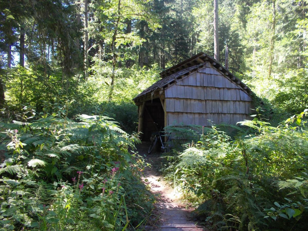 A rustic wooden cabin nestled among lush greenery and tall trees, with a narrow path leading to its entrance. The surrounding landscape includes ferns and wildflowers, creating a peaceful, natural setting. Goodman Creek mountain bike trail.