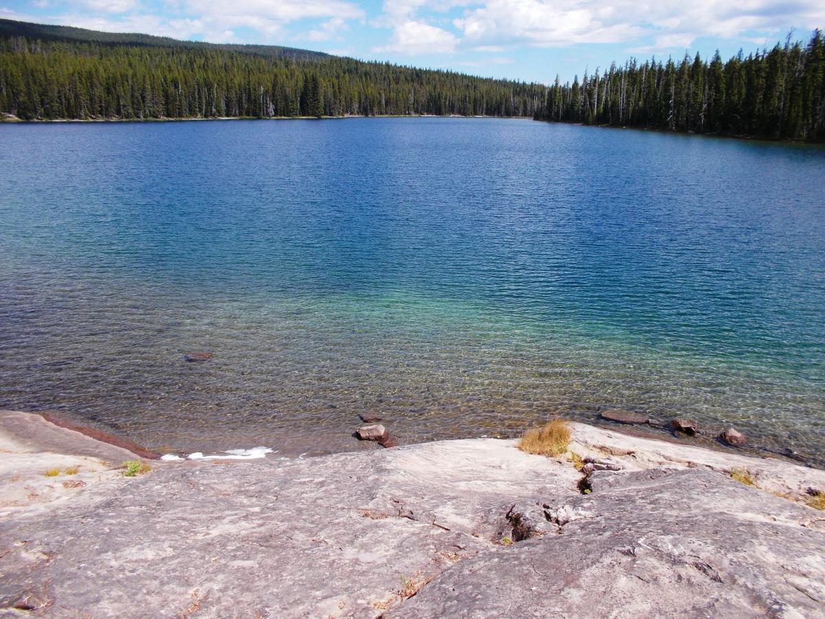 A tranquil lake surrounded by dense evergreen forest under a clear blue sky. The water's surface shimmers in varying shades of blue and green, transitioning from clear shallow areas to deeper depths. Rocky terrain leads to the water's edge, creating a natural border between land and lake. Gold Lake To Bobby Lake mountain bike trail.