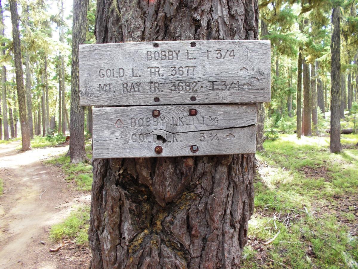 Wooden trail signs attached to a tree indicate directions and distances to various hiking trails, including Bobby L, Gold L, and Mt. Ray, in a forested area with tall trees and a dirt path. Gold Lake To Bobby Lake mountain bike trail.