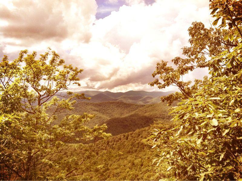 A panoramic view of a mountainous landscape featuring lush green hills and valleys under a partly cloudy sky, framed by trees in the foreground. Black Mountain mountain bike trail.