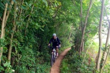 A cyclist riding a mountain bike along a narrow, dirt trail surrounded by lush green foliage and trees. The path winds gently through a wooded area. Schaeffer Farms mountain bike trail.