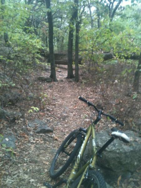 A dirt path winding through a wooded area, flanked by trees and rocks, with a mountain bike resting on its side in the foreground. Clinton State Park mountain bike trail.