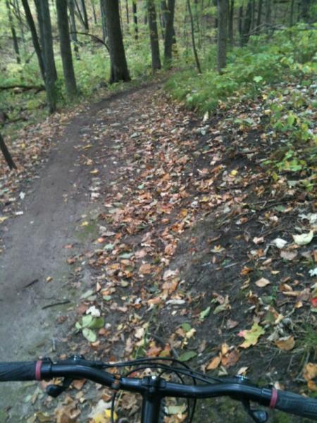 A mountain bike handlebar view of a winding dirt trail surrounded by trees, with fallen autumn leaves scattered on the ground, indicating a scenic outdoor path in a wooded area. New Fane mountain bike trail.