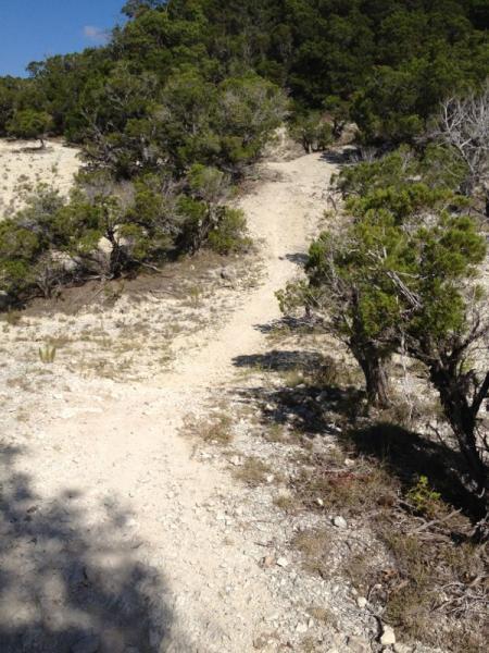 A winding dirt path leads through a rocky terrain, flanked by low shrubs and small trees. The trail meanders upward towards a wooded area in the background, under a clear blue sky. Dana Peak mountain bike trail.