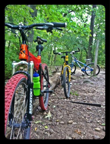 Two mountain bikes are parked on a dirt trail surrounded by lush green trees. The first bike in the foreground has red tires and an orange frame, equipped with a green water bottle. The second bike, further back, features a blue frame and yellow accents. A fallen log can be seen nearby, along with some rocks on the trail. Kettle Moraine John Muir + Emma Carlin mountain bike trail.