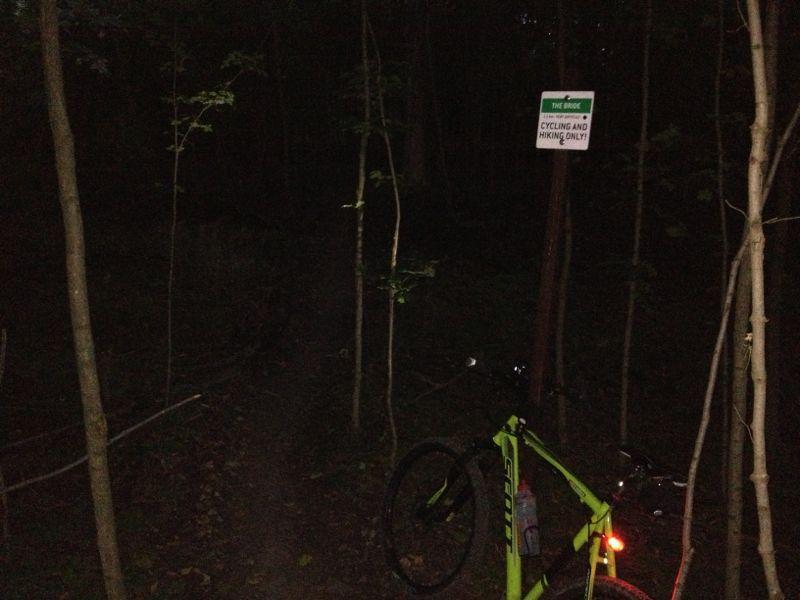 A dimly lit trail in a wooded area at night, with a green bicycle leaning against a tree. A sign is visible on a post nearby, indicating that the area is for cycling and hiking only. The surroundings are characterized by dark foliage and tall, slender trees. Hydrocut mountain bike trail.