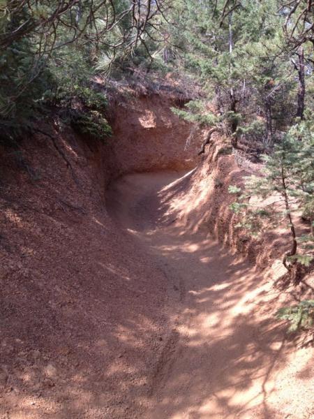 A winding, dirt trail cuts through a forested area, surrounded by trees and foliage. The erosion has formed a narrow, curved pathway with exposed soil and a gentle slope. Sunlight filters through the branches, casting dappled shadows on the trail. Captain Jack's mountain bike trail.