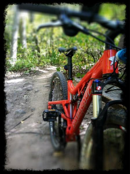 A close-up view of a red mountain bike parked on a dirt trail surrounded by greenery. The bike's frame and tires are prominently featured, with the trail winding into the distance, hinting at the natural setting. Kettle Moraine John Muir + Emma Carlin mountain bike trail.