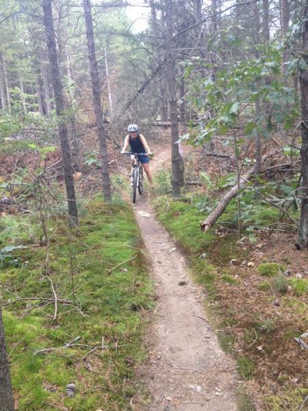 A person riding a mountain bike on a narrow dirt trail surrounded by trees and greenery in a forested area. Bavington mountain bike trail.
