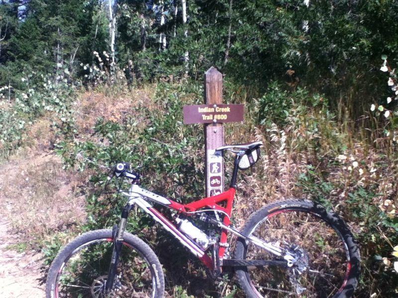 A mountain bike resting next to a trail sign indicating "Indian Creek Trail #800," surrounded by lush greenery and tall grass. The sign features symbols for various trail users, including hikers and cyclists. Indian Creek Loop mountain bike trail.
