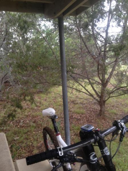 A close-up view of a mountain bike leaning against a post, with a backdrop of trees and grass in a natural setting. The image captures a peaceful outdoor scene, showcasing the bike's handlebars and saddle while some branches are visible in the foreground. Madrone Trail mountain bike trail.