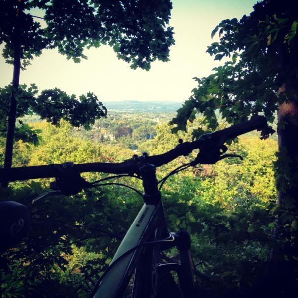A view from behind a bicycle handlebar overlooking a lush, green landscape, with trees framing the scene and rolling hills visible in the distance under a clear sky. Beacon Mt. mountain bike trail.