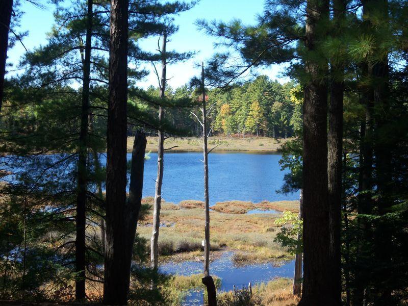 Scenic view of a tranquil lake surrounded by trees, with autumn foliage in the background. The image captures a peaceful natural setting with clear blue water and a mix of evergreen and deciduous trees. Bear Brook mountain bike trail.