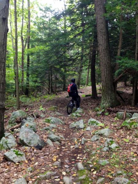 A person riding a mountain bike along a rocky trail in a dense forest, surrounded by trees with green foliage and patches of fallen leaves on the ground. Mahlon Dickerson mountain bike trail.