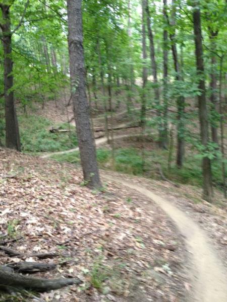 A winding dirt path through a lush green forest, surrounded by tall trees and scattered leaves on the ground. The trail curves gently, leading deeper into the woods. North Park mountain bike trail.