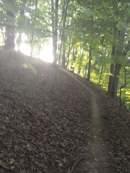 A sunlit trail winding through a wooded area, surrounded by trees and fallen leaves. The path curves gently and leads toward a bright opening in the distance, creating an inviting and serene atmosphere. North Park mountain bike trail.