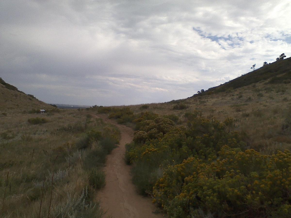 A winding dirt path cuts through a grassy landscape with scattered yellow flowers and shrubs, under a cloudy sky. Hills rise in the background, providing a natural scenic view. Coyote Ridge mountain bike trail.