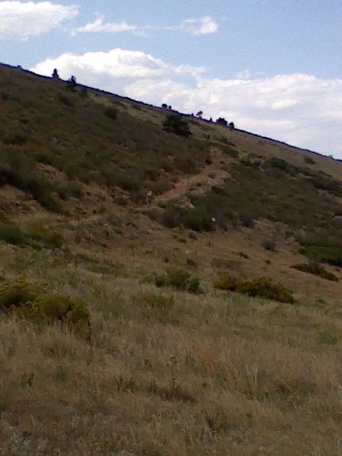 A scenic view of a hillside with patches of grass and shrubs, under a partially cloudy sky. A narrow path winds up the slope, leading to a small group of trees at the top. The foreground features dry grass, while the background shows the gentle rise of the hill. Coyote Ridge mountain bike trail.