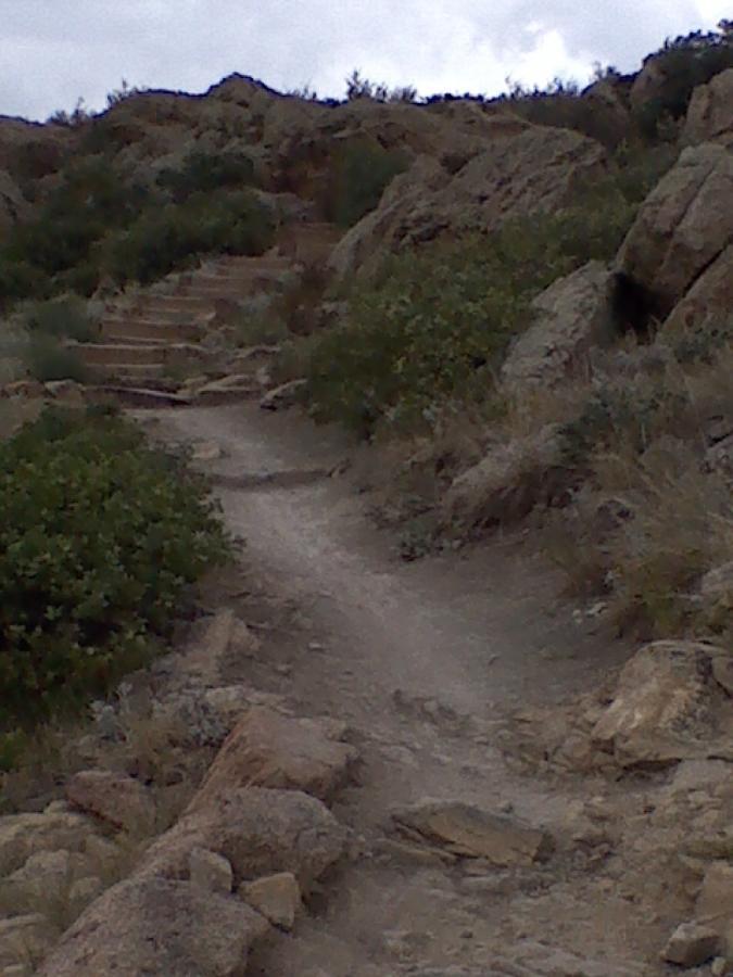 A rugged hiking trail winding uphill through rocky terrain and sparse vegetation, under a cloudy sky. Coyote Ridge mountain bike trail.
