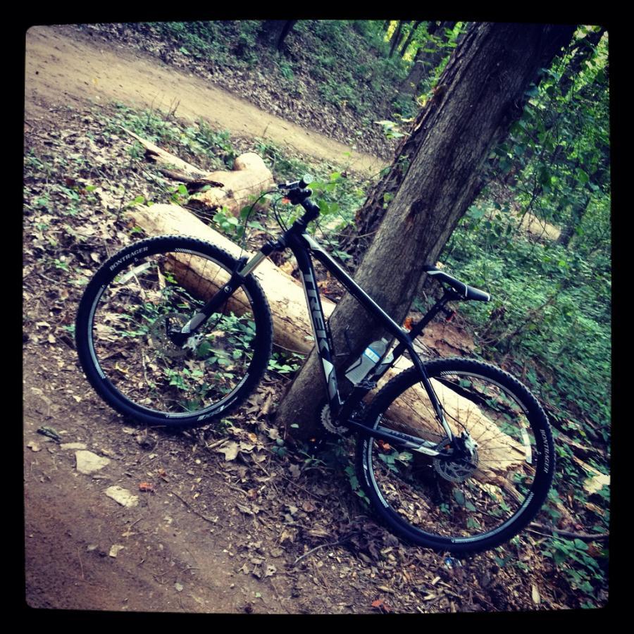 A mountain bike resting against a tree in a forested area, surrounded by dirt trails and fallen logs, with leaves scattered on the ground. Haw Creek Park mountain bike trail.