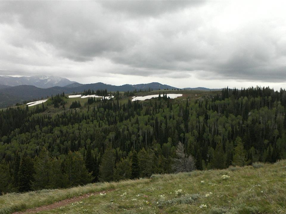 A scenic view of a mountainous landscape featuring rolling hills covered with a mix of lush green trees and patches of snow. The sky is overcast with gray clouds, creating a moody atmosphere. In the distance, more mountain ranges are visible, adding depth to the scene. Rocky Peak Via Spooky Trail mountain bike trail.